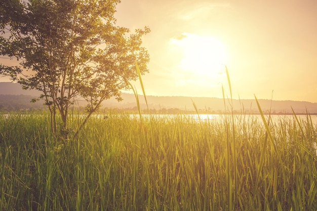 Photo scenic view of field against sky during sunset