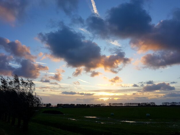 Scenic view of field against sky during sunset