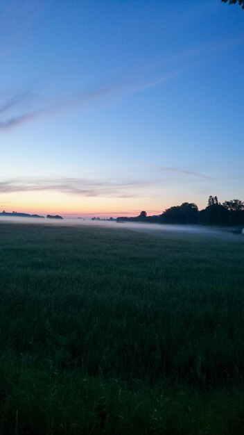 Scenic view of field against sky during sunset