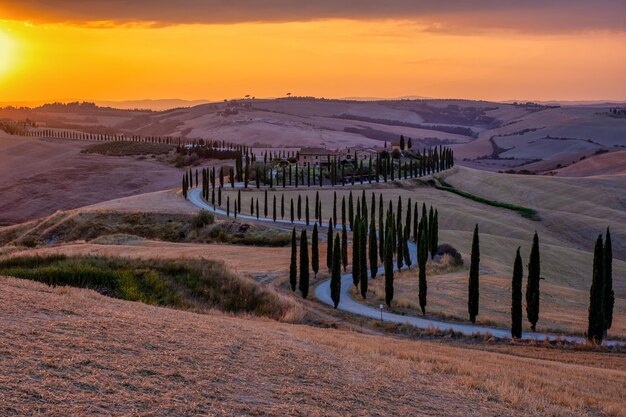 Foto vista panoramica del campo contro il cielo durante il tramonto