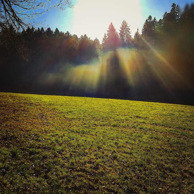 Foto vista panoramica del campo contro il cielo durante il tramonto