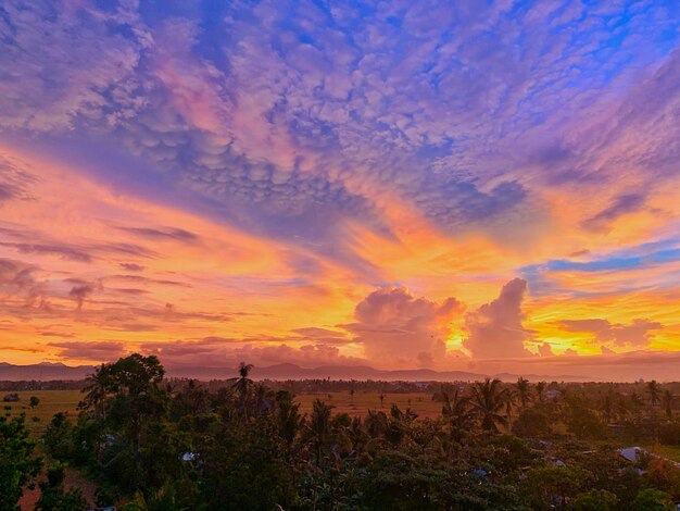 Scenic view of field against sky during sunset