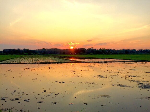 Foto vista panoramica del campo contro il cielo durante il tramonto