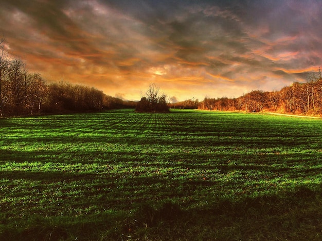 Photo scenic view of field against sky during sunset