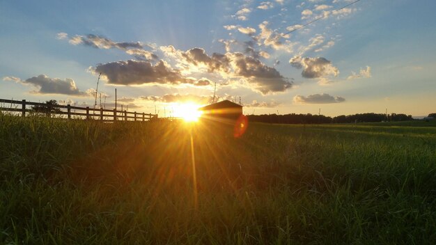 Photo scenic view of field against sky during sunset