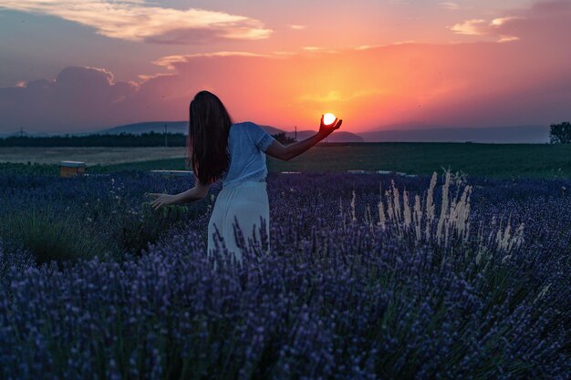 Photo scenic view of field against sky during sunset