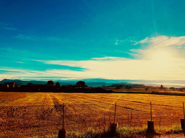 Scenic view of field against sky during sunset