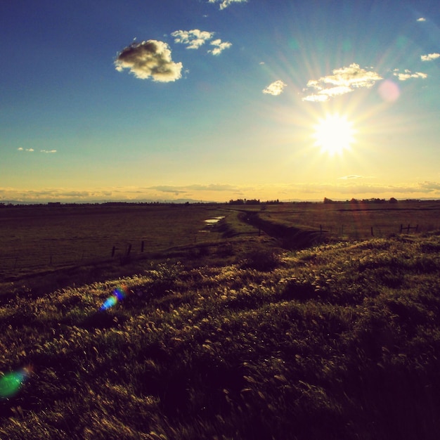 Photo scenic view of field against sky during sunset