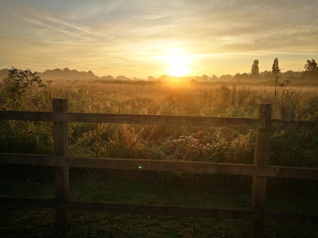 Photo scenic view of field against sky during sunset