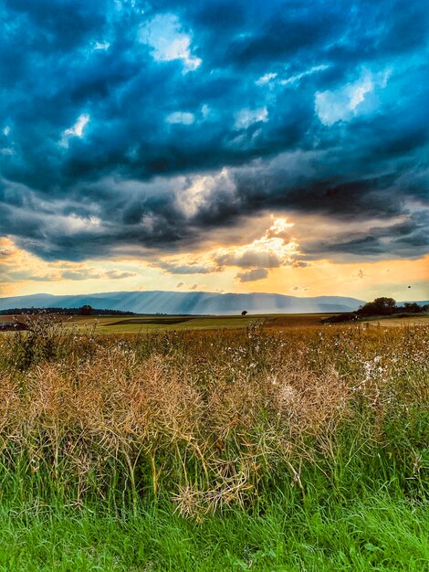 Scenic view of field against sky during sunset