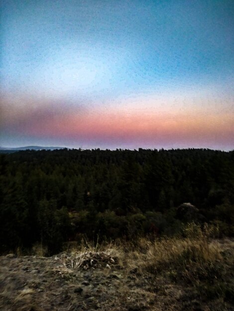 Scenic view of field against sky during sunset