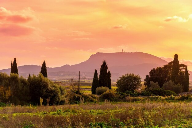 Photo scenic view of field against sky during sunset