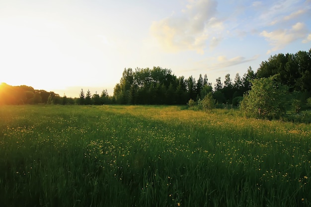 Photo scenic view of field against sky during sunset