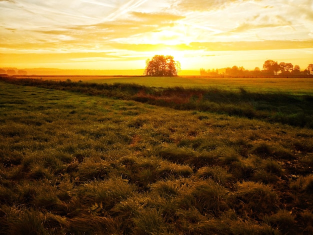 Photo scenic view of field against sky during sunset