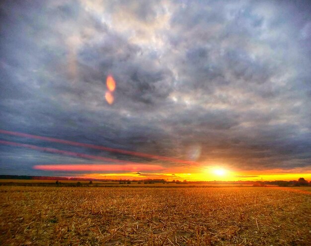 Scenic view of field against sky during sunset