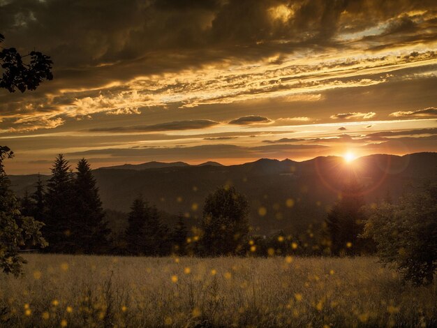 Scenic view of field against sky during sunset