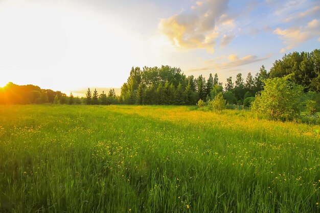 Photo scenic view of field against sky during sunset