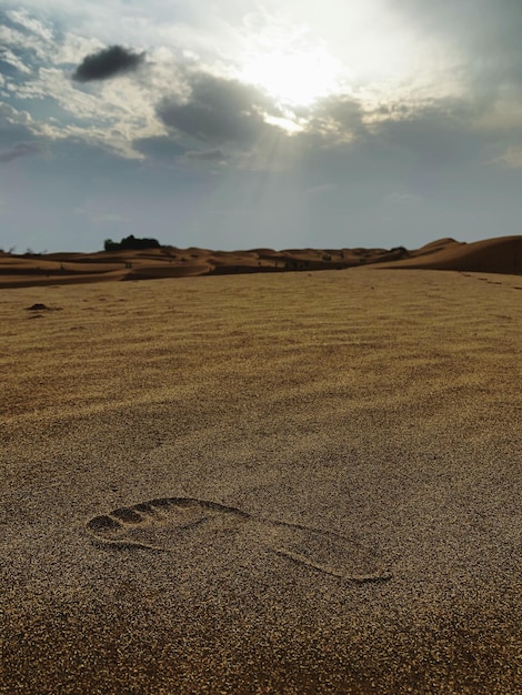 Foto vista panoramica del campo contro il cielo durante il tramonto