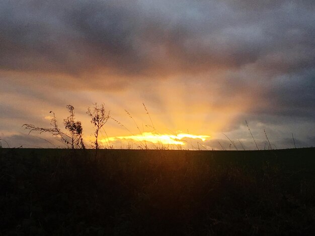 Scenic view of field against sky during sunset