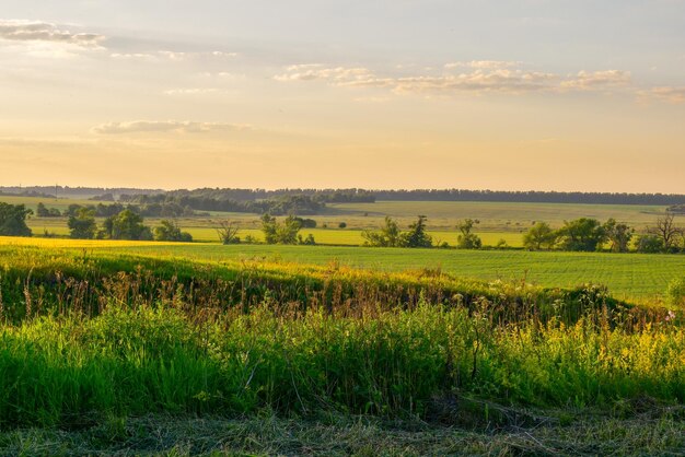 Photo scenic view of field against sky during sunset