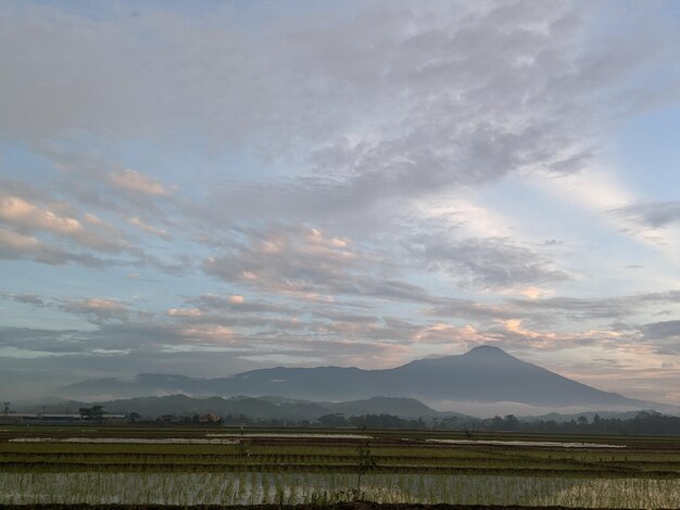 Scenic view of field against sky during sunset