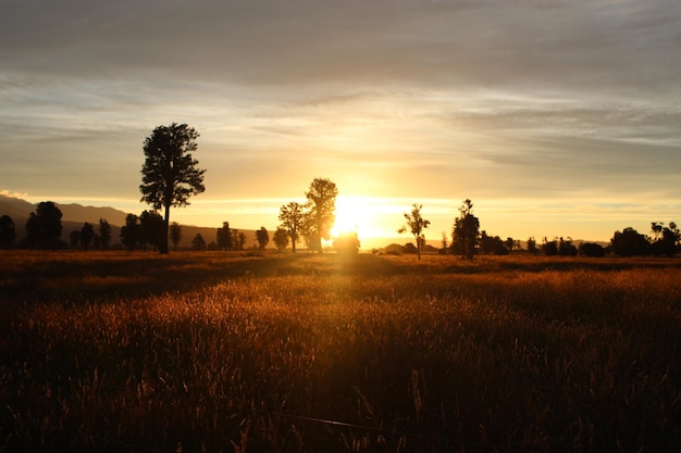 Foto vista panoramica del campo contro il cielo durante il tramonto