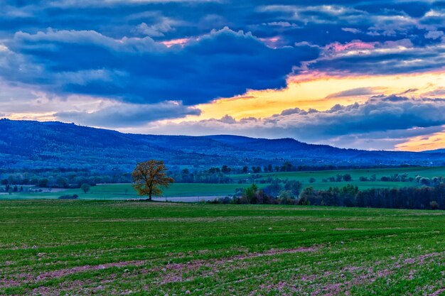 Scenic view of field against sky during sunset