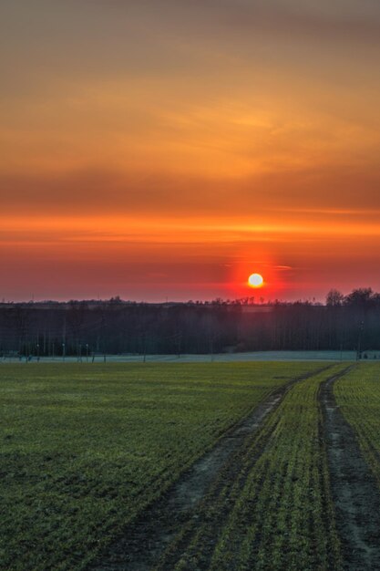 Foto vista panoramica del campo contro il cielo durante il tramonto