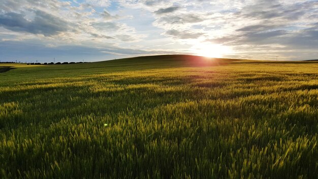 Scenic view of field against sky during sunset