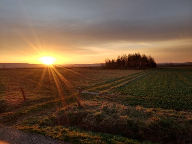 Photo scenic view of field against sky during sunset