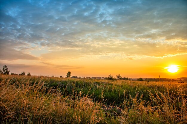 Scenic view of field against sky during sunset