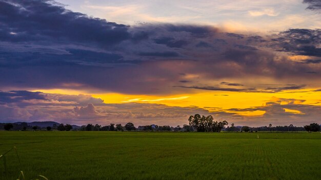 Scenic view of field against sky during sunset