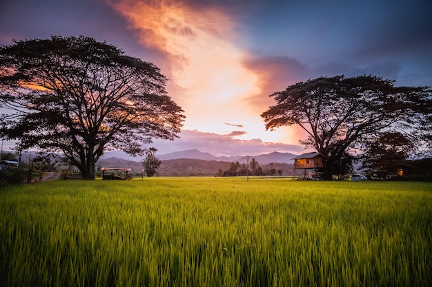 Photo scenic view of field against sky during sunset