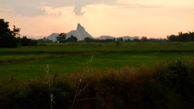 Scenic view of field against sky during sunset