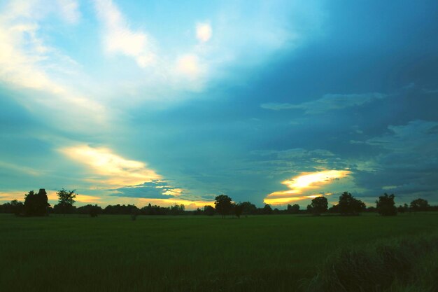 Scenic view of field against sky during sunset