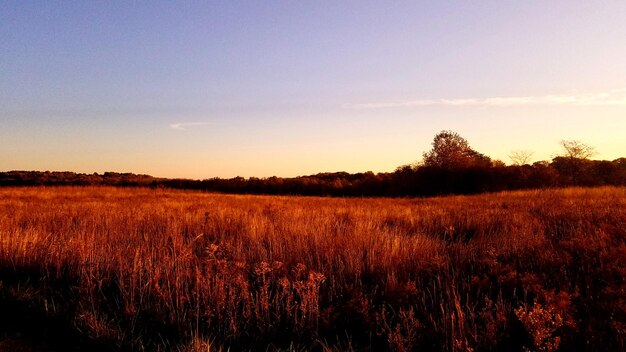 Photo scenic view of field against sky during sunset