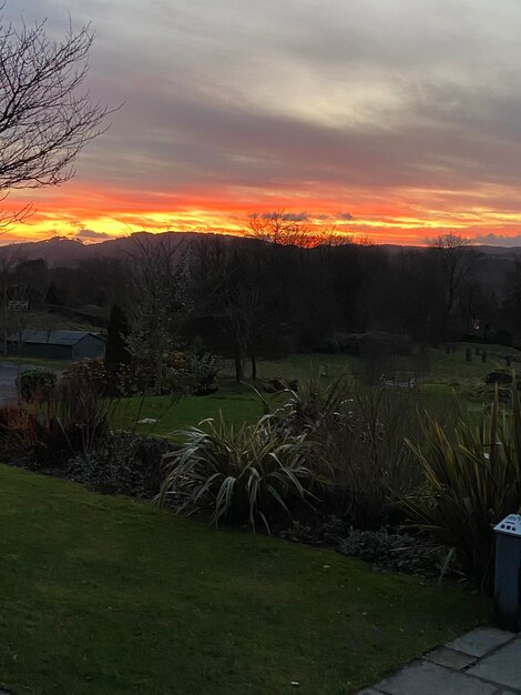 Scenic view of field against sky during sunset