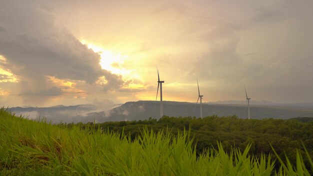 Scenic view of field against sky during sunset