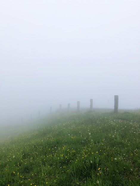 Scenic view of field against sky at foggy weather