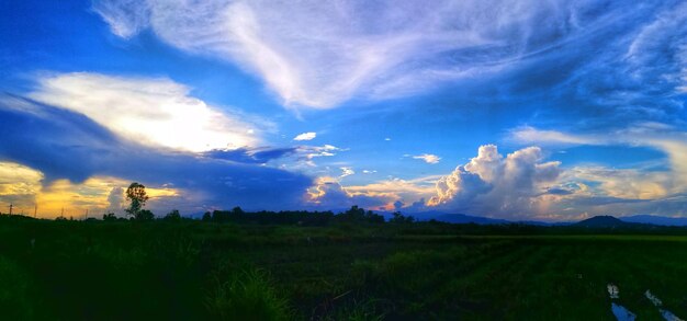 Scenic view of field against sky at night