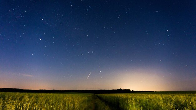 Scenic view of field against sky at night