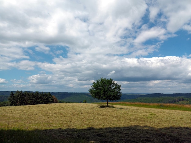 Photo scenic view of field against sky in region hunsruck on hiking trail traumschleife murscher eselsche