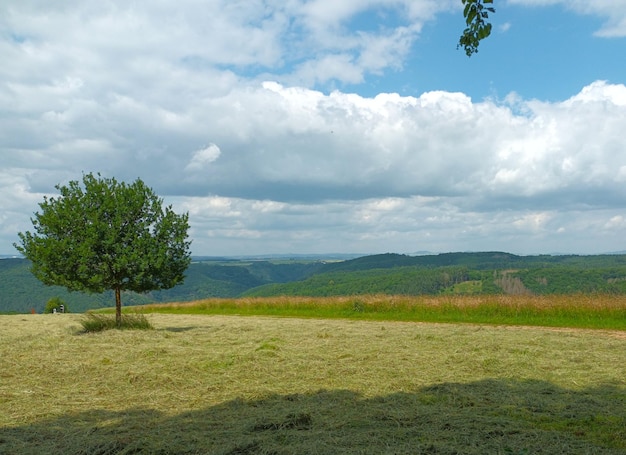 Photo scenic view of field against sky in  region hunsruck on hiking trail traumschleife murscher eselsche