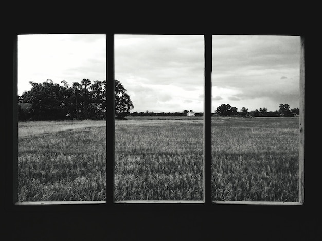 Scenic view of field against sky seen through window