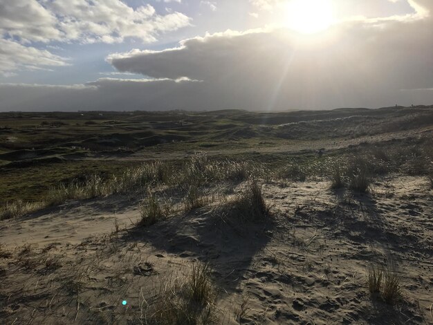 Foto vista panoramica del campo contro il cielo in una giornata di sole