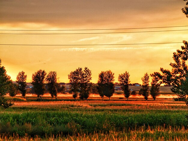 Scenic view of field against sky at sunset