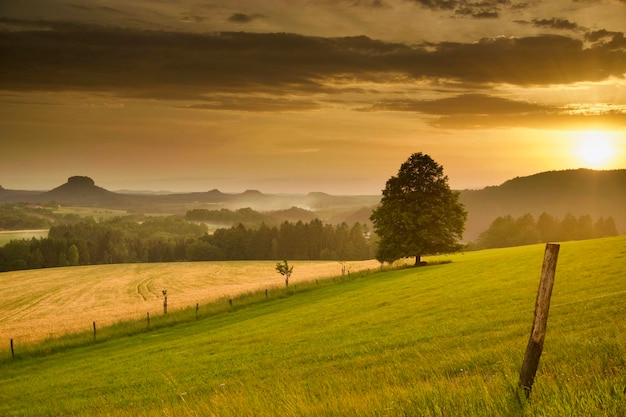 Scenic view of field against sky during sunset