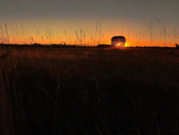 Photo scenic view of field against sky at sunset