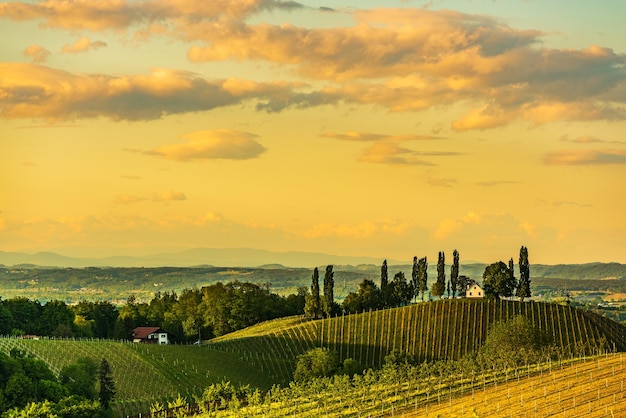 Scenic view of field against sky during sunset