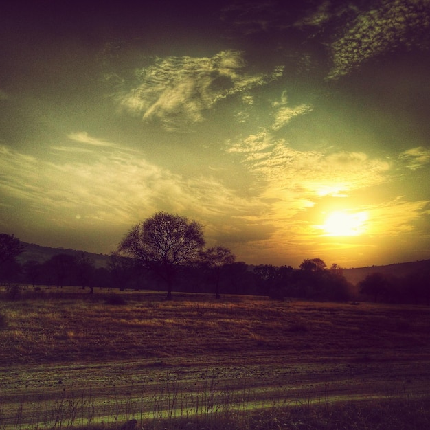 scenic view of field against sky at sunset